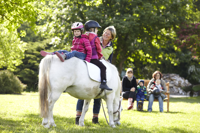 Soziales Engagement von LUDZAY in der Region